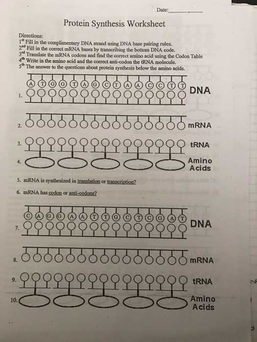 Dna Replication and Transcription Worksheet Answers and Mrna and Transcription Worksheet Inspirational Difference Between