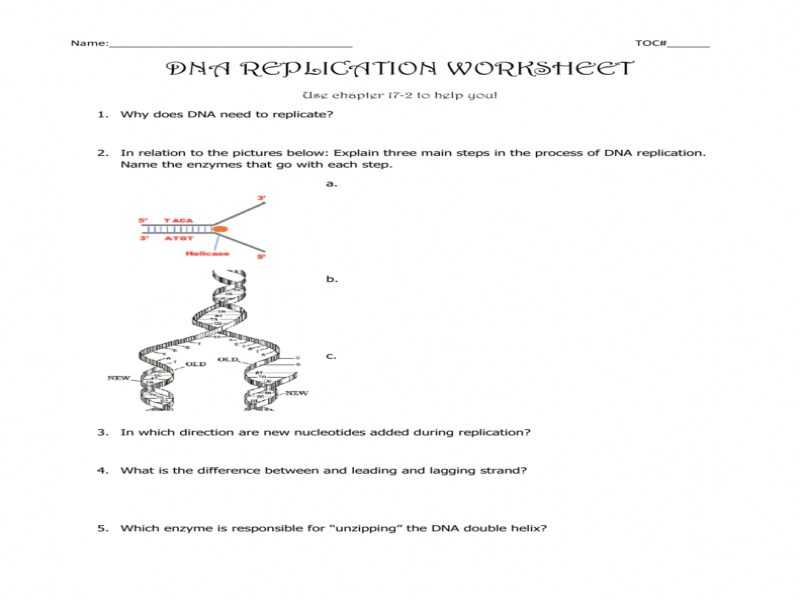 Dna Replication Worksheet Answer Key or Dna Replication Worksheet Worksheets for All
