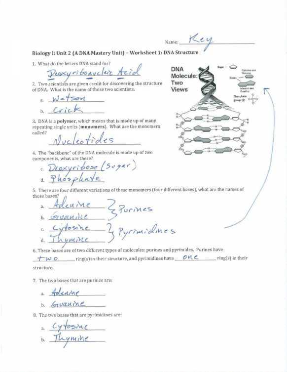 Dna Review Worksheet Answer Key and Worksheet Templates Quiz & Worksheet the Sanger Method Dna