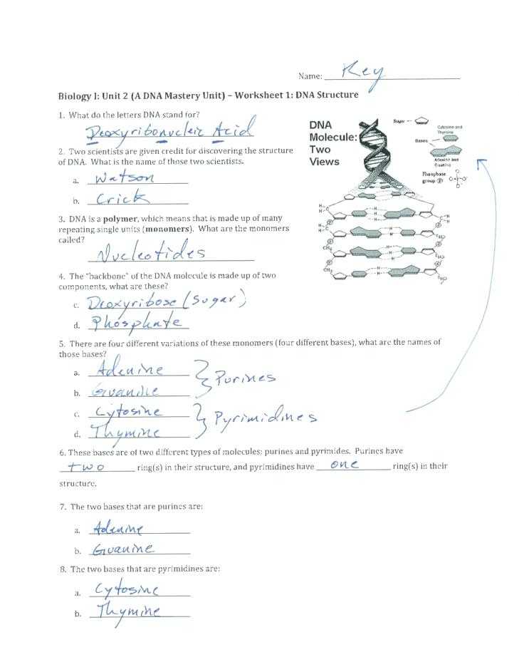 Dna Structure and Function Worksheet with Unique Dna the Molecule Heredity Worksheet Beautiful Dna