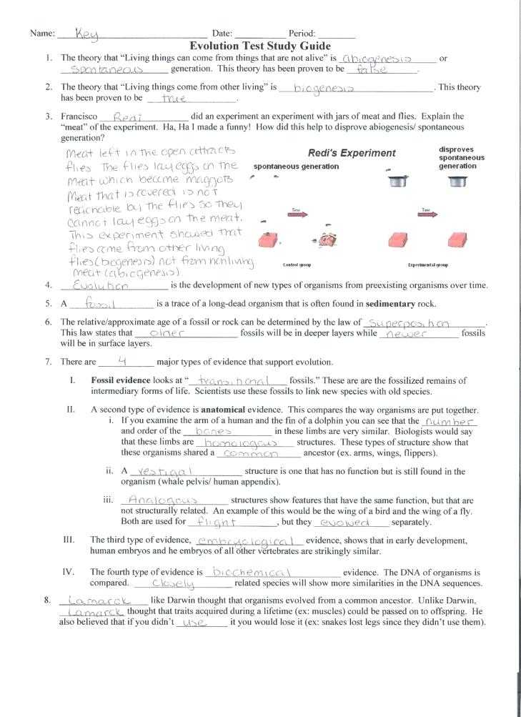 Dna Structure and Replication Review Worksheet or Worksheets 43 Fresh Dna Replication Worksheet Answers High