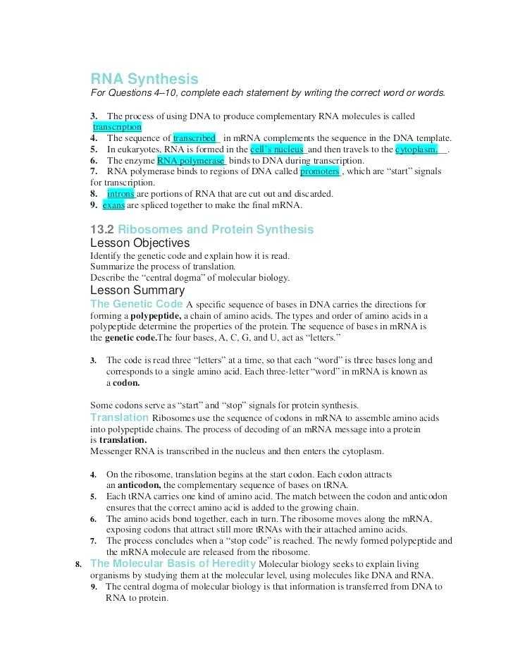 Dna Structure and Replication Review Worksheet together with Dna Replication Review Worksheet for Kids Voice social Cool Dna