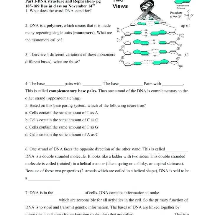 Dna Structure and Replication Review Worksheet with Dna Replication Review Worksheet – Streamcleanfo