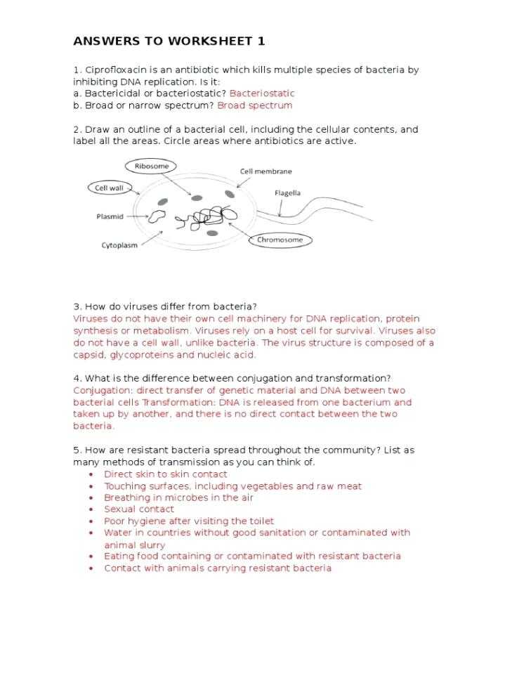 Dna Structure and Replication Review Worksheet with Lovely Dna Replication Worksheet Answers Elegant Dna Structure and