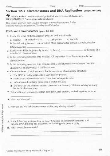 Dna Structure and Replication Worksheet with Best Dna the Molecule Heredity Worksheet Luxury Dna Structure