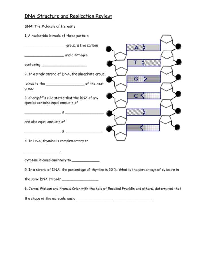 Dna Structure Worksheet or Awesome Dna the Molecule Heredity Worksheet Luxury Dna