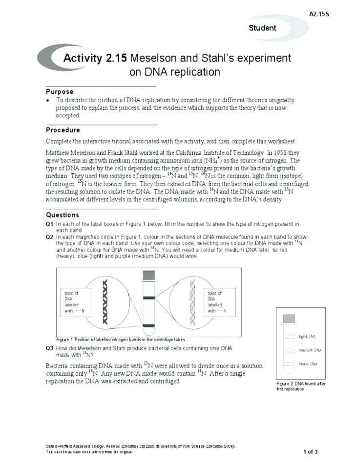 Dna the Molecule Of Heredity Worksheet together with Dna the Molecule Heredity Worksheet Answers the Best Worksheets