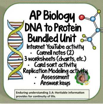 Dna Unit Review Worksheet Along with Ap Biology Dna to Protein Bundled Unit