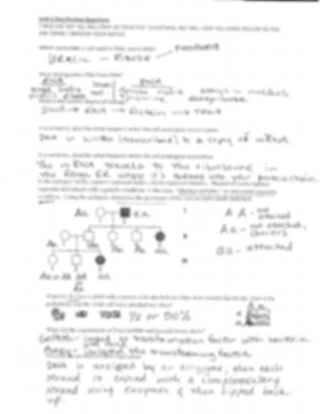 Dna Unit Review Worksheet and Unit 5 Test Review Key Nam E Dna Review Worksheet 1 What Does Dna
