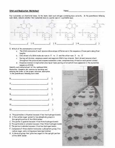 Dna Unit Review Worksheet with Dna and Replication Worksheet solon City Schools