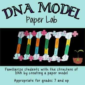 Dna Worksheet Answers with Dna Structure Lab Paper Model