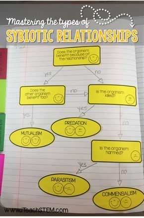 Ecological Relationships Worksheet and 7 Best Symbiosis Images On Pinterest