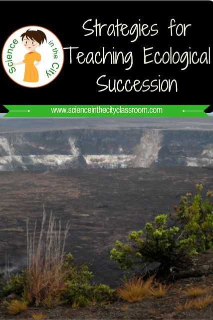 Ecological Relationships Worksheet and How to Use the 5e S for Prehension Of Ecological Succession