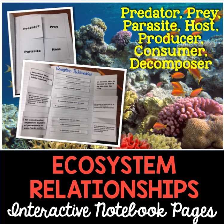 Ecological Relationships Worksheet or Ecosystem Relationships Interactive Notebook Pages