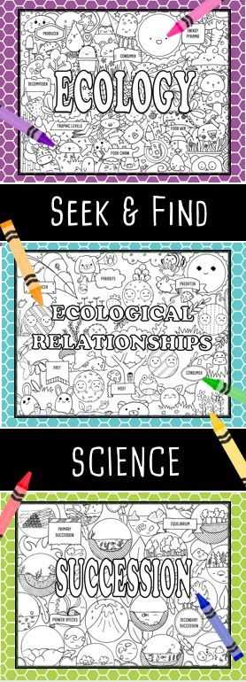 Ecological Relationships Worksheet together with Besten Tpt Science Lessons Bilder Auf Pinterest