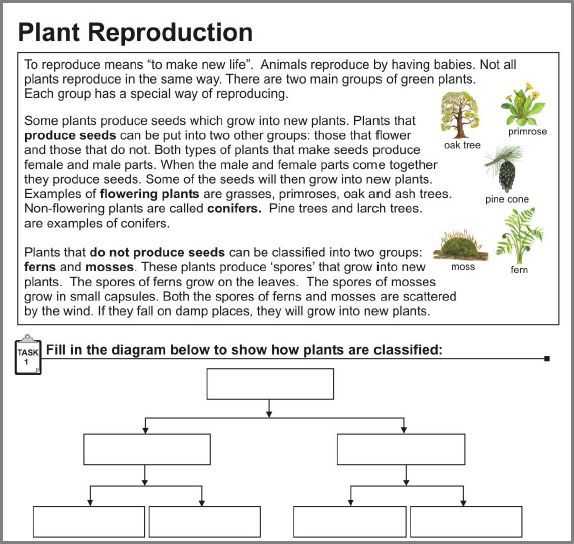 Effects Of Co2 On Plants Worksheet Answers Along with Plant Reproduction Worksheet Teaching Ideas