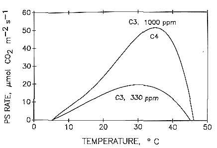 Effects Of Co2 On Plants Worksheet Answers Also 7 Effects Of Increasing Carbon Dioxide Levels and Climate Change