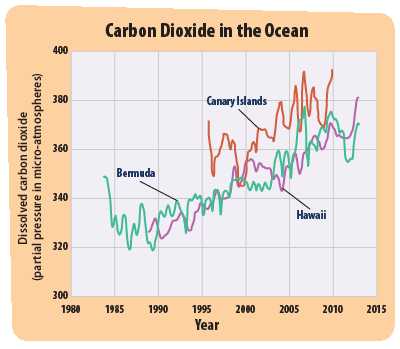 Effects Of Co2 On Plants Worksheet Answers or Increased Ocean Acidity