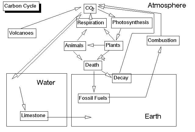 Energy Flow In Living Things Worksheet or Environmental Biology Sequence Ecosystems