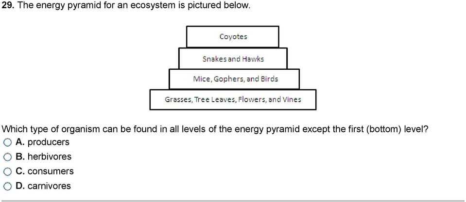Energy Flow In Living Things Worksheet or the Animals at Higher Levels are More Petitive so Fewer Animals