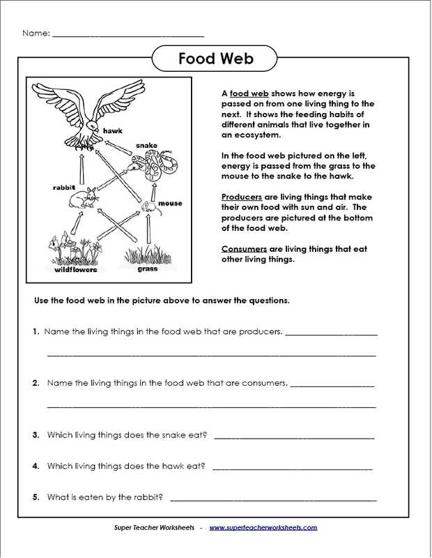 Energy Flow Worksheet Answers and Food Chain Quiz Worksheet Worksheets for All