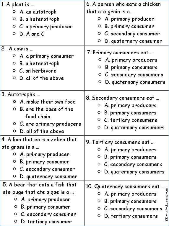 Energy Flow Worksheet Answers or Energy Flow In Ecosystems Worksheet Answers