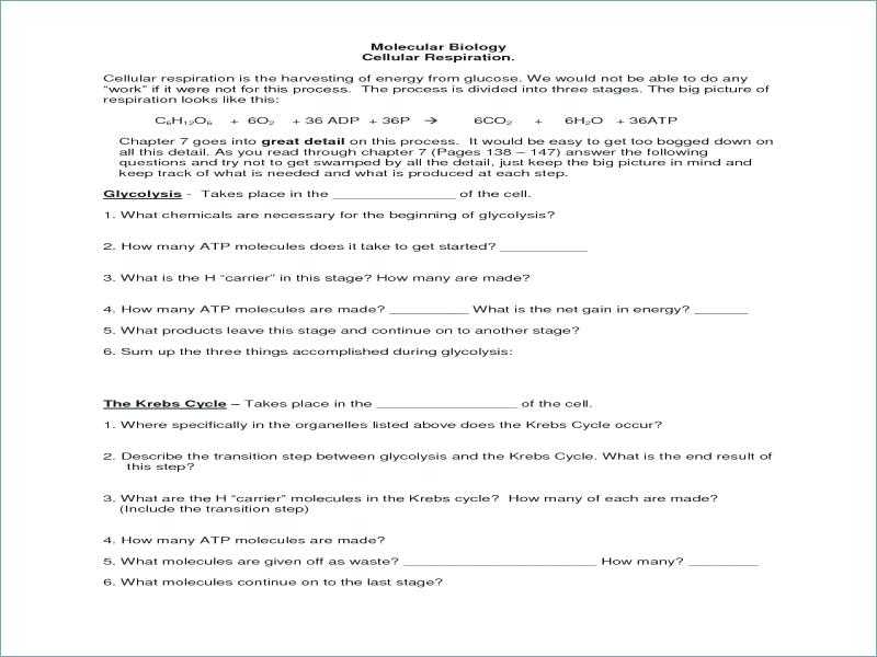 Energy In A Cell Worksheet Answers as Well as Cell Energy Worksheet Answers Kidz Activities