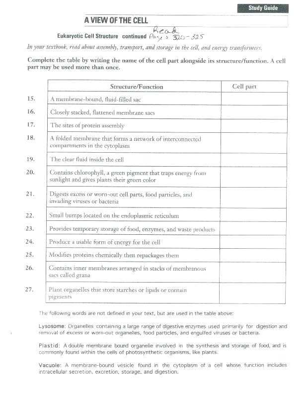 Energy In A Cell Worksheet Answers as Well as Cell Energy Worksheet Worksheet Math for Kids
