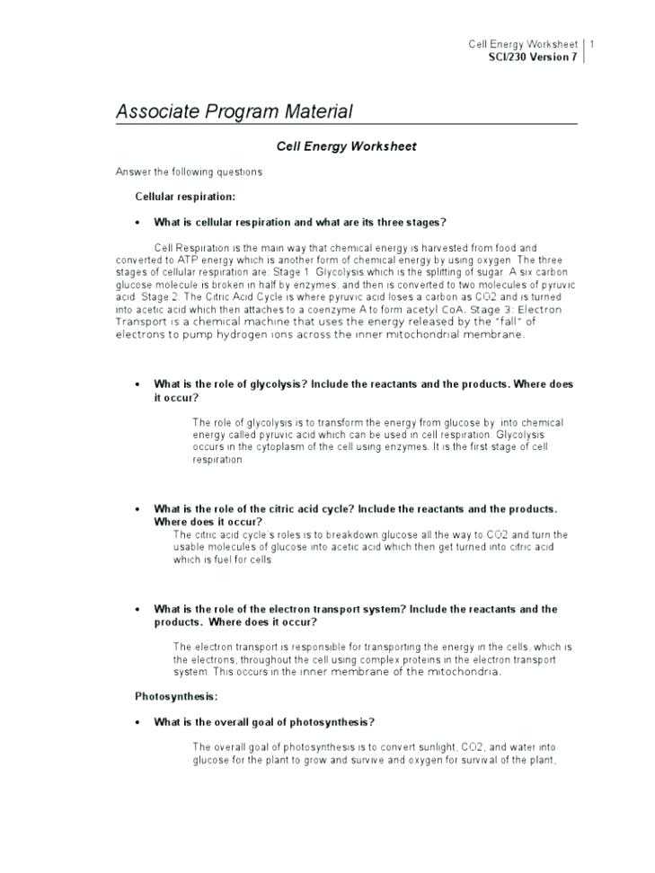 Energy In A Cell Worksheet Answers with Cell Energy Worksheet Answers Kidz Activities