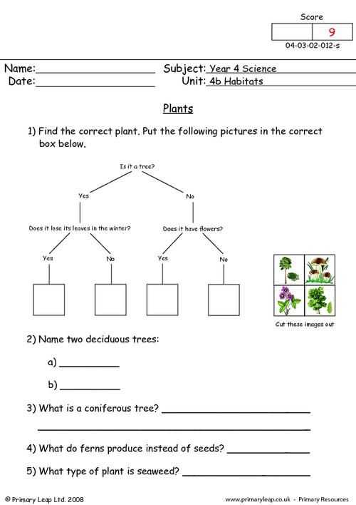 Energy Resources Worksheet or Primaryleap Plants Worksheet Plants