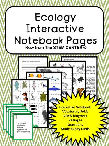 Energy Vocabulary Worksheet and Ecology Interactive Science Notebook