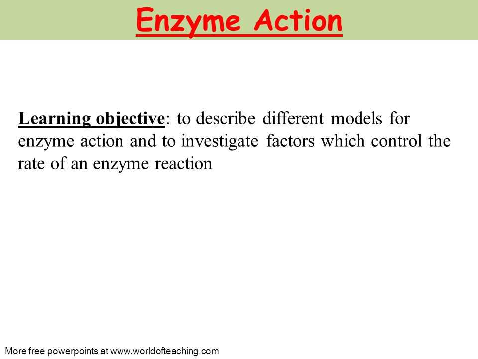 Enzyme Reaction Rates Worksheet Along with Enzymes Name Chebet Milton Contact Subject Biology topic