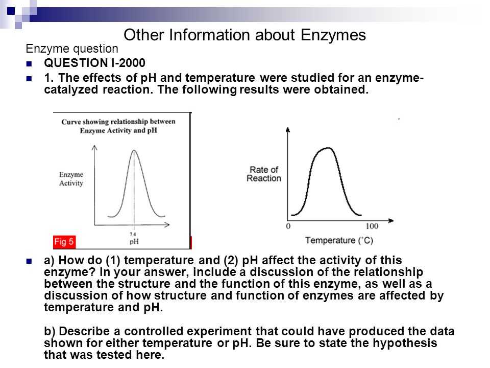 Enzyme Reaction Rates Worksheet Also How to Write Like A top Chef Get A Ghostwriter Time Ap Bio Essay