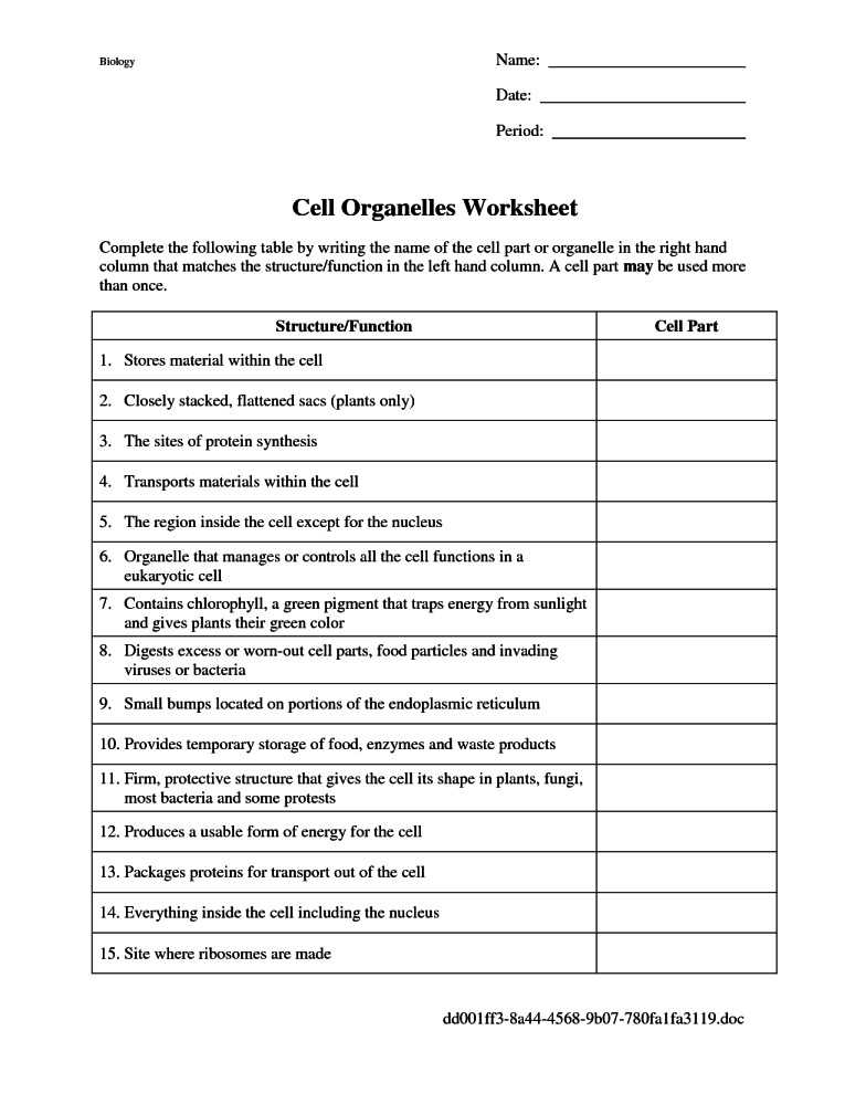 Enzymes and their Functions Worksheet Answers together with Cell Structure and Function Worksheet Answers