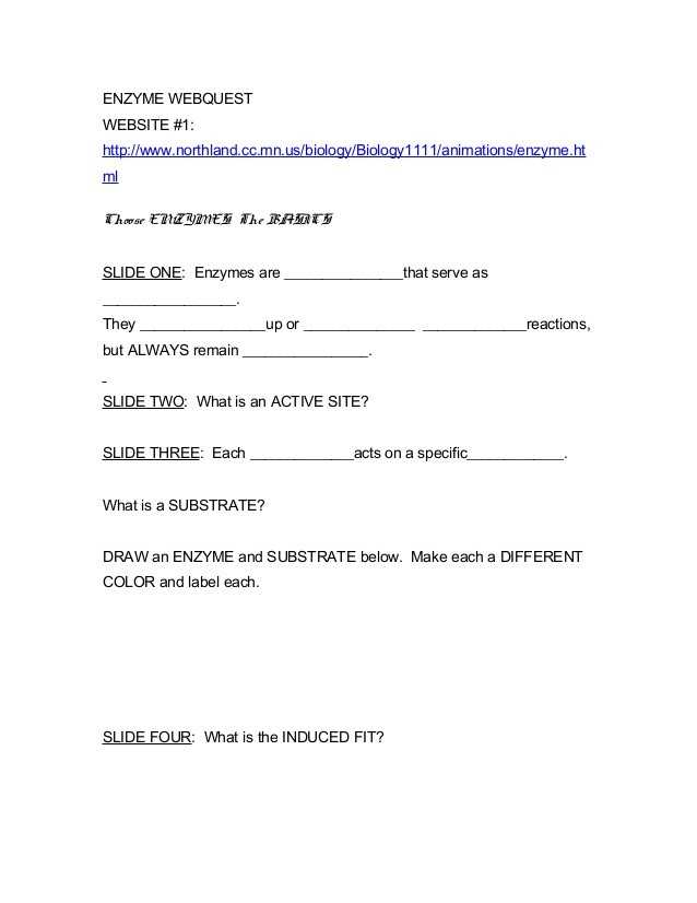 Enzymes and their Functions Worksheet Answers with 37 Lovely Biology Enzymes Worksheet Answers