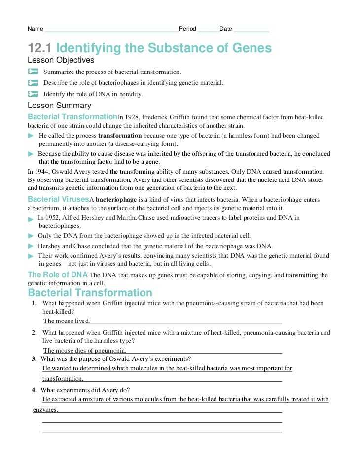 Enzymes Worksheet Answer Key and 17 Lovely Stock 13 3 Mutations Worksheet Answer Key
