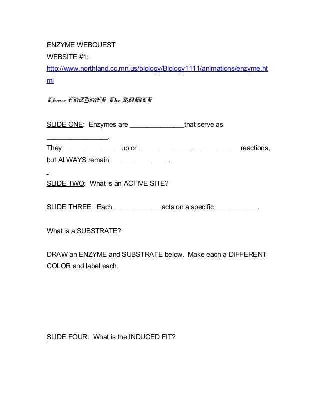 Enzymes Worksheet Answer Key together with Ap Biology Enzyme Webquest