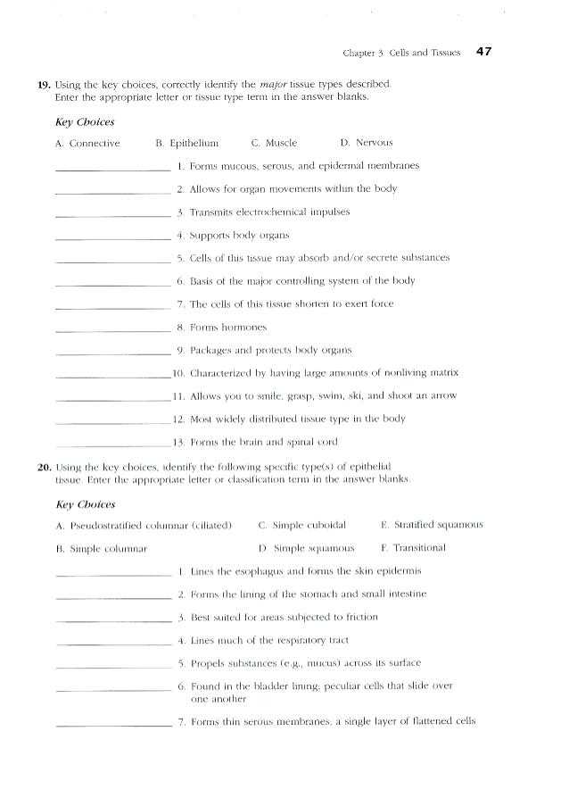 Epithelial Tissue Coloring Worksheet together with Gemütlich Anatomy and Physiology Skin Worksheet Galerie