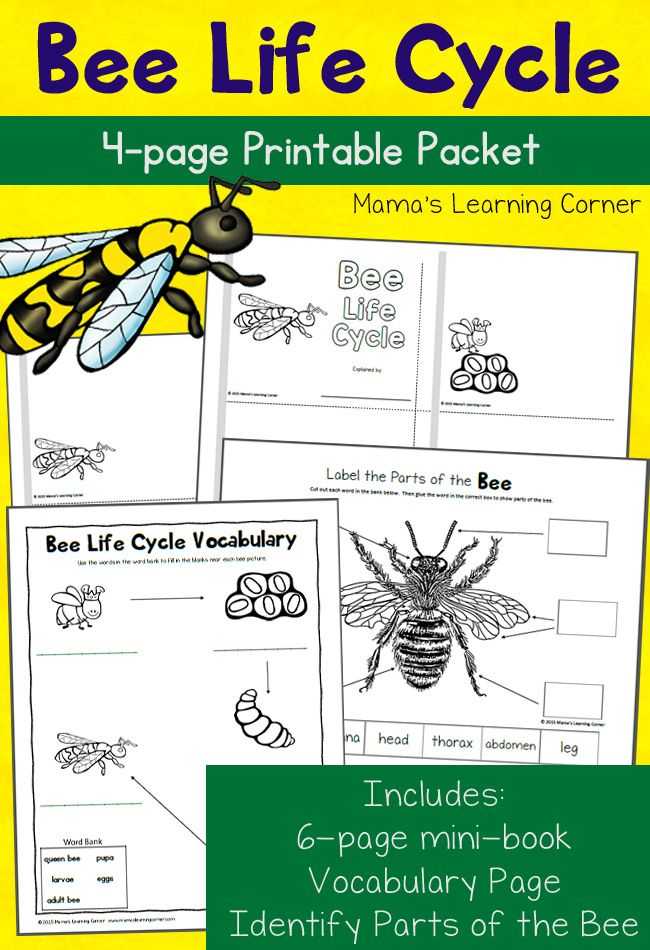 Erie Canal Worksheet Pdf or 458 Best Best Of Mama S Learning Corner Images On Pinterest