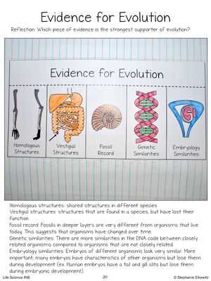 Evolution by Natural Selection Worksheet Answers Also Evolution and Natural Selection Interactive Notebook Activities