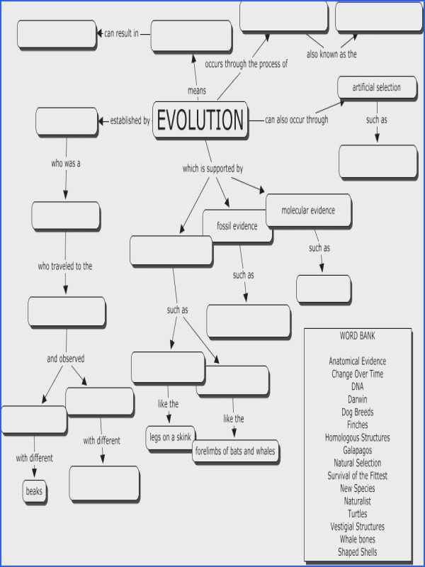 Evolution by Natural Selection Worksheet Answers as Well as Worksheets 42 Unique Evidence Evolution Worksheet Answers High