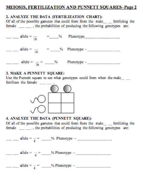 Factoring Difference Of Squares Worksheet Answer Key or Best Punnett Square Worksheet New Punnett Square Worksheet 1