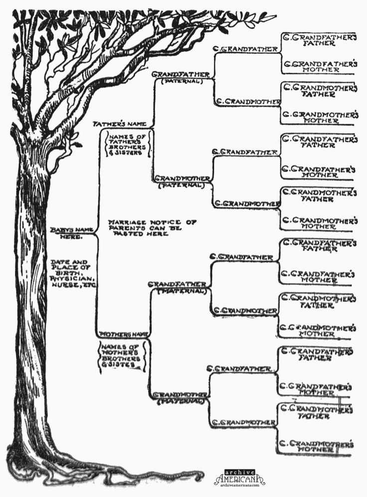 Family Tree Worksheet Printable Also 17 Best Family Tree Part Three Research Images On Pinterest