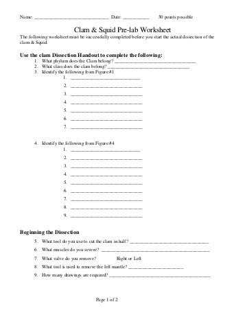 Fetal Pig Dissection Pre Lab Worksheet Answers Also Starfish Dissection Guide Mr E Science
