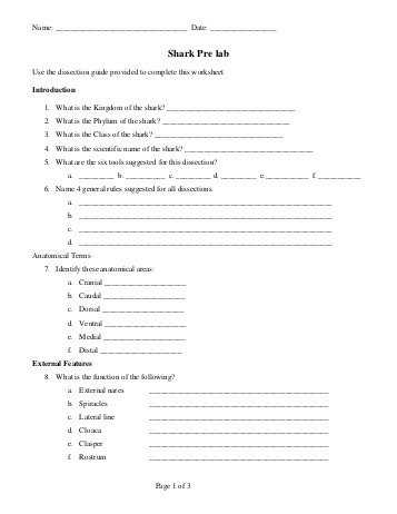 Fetal Pig Dissection Pre Lab Worksheet with Shark Dissection Mr E Science