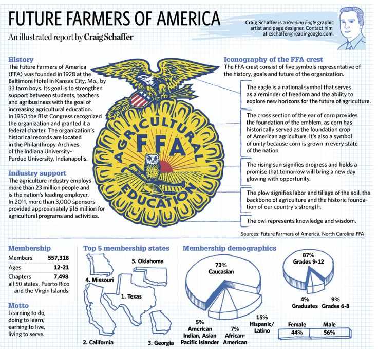 Ffa Officer Duties Worksheet together with 19 Best Ffa Unit Images On Pinterest