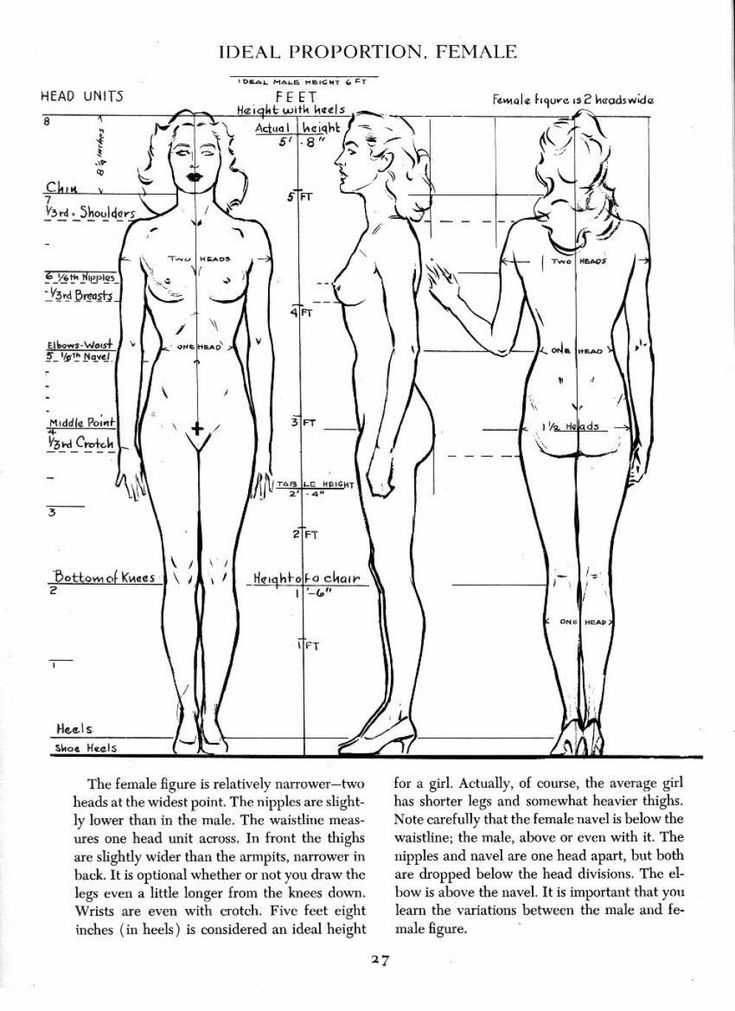 Figure Drawing Proportions Worksheet together with 35 Best Drawing Overall Body Images On Pinterest