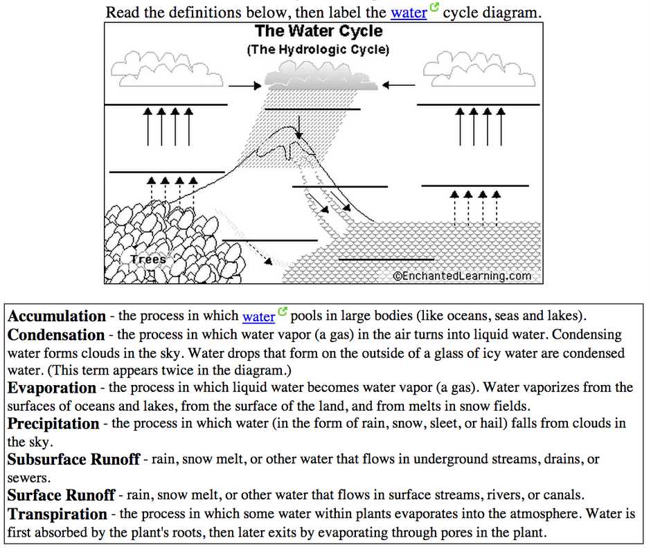 Fill In the Blank Water Cycle Diagram Worksheet Along with Enchanting Year 10 Science Worksheets Kindergarten Food Chain