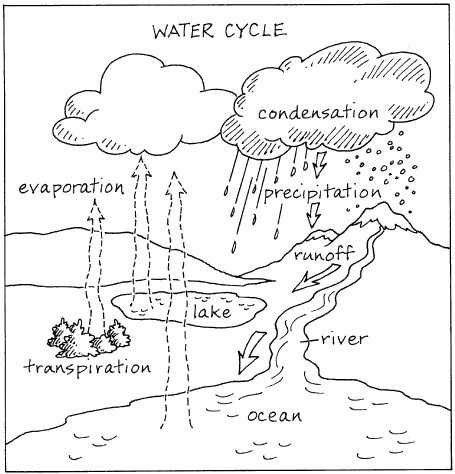 Fill In the Blank Water Cycle Diagram Worksheet as Well as 1184 Best Cc Cycle 1 Images On Pinterest