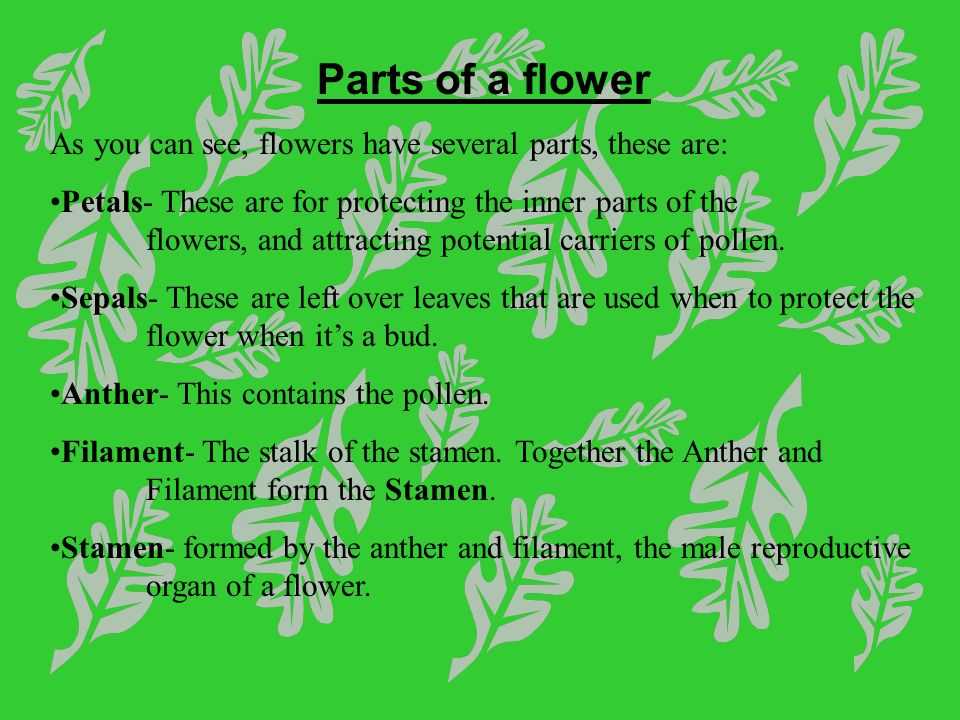 Flower Anatomy Worksheet Key Also Flowers and Plant Reproduction Line Lesson 1 Watch This First and